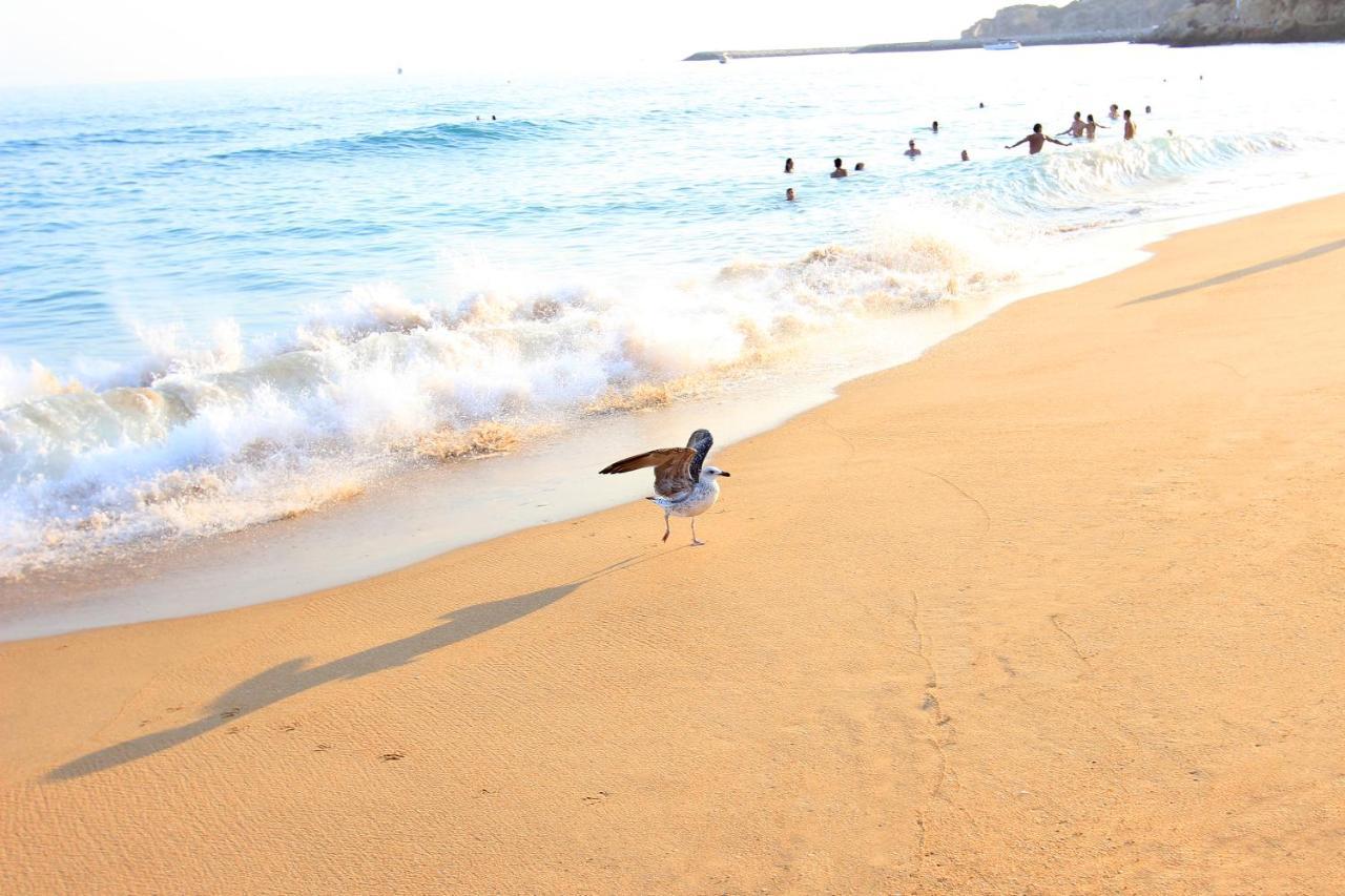 Warm Yellow Albufeira Ngoại thất bức ảnh